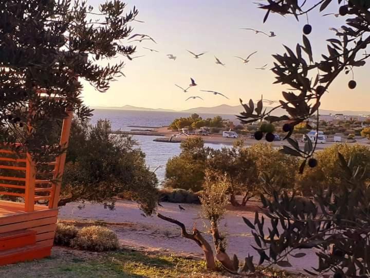 Eden Lady Mobile Home, Croatia, Drage Eksteriør bilde